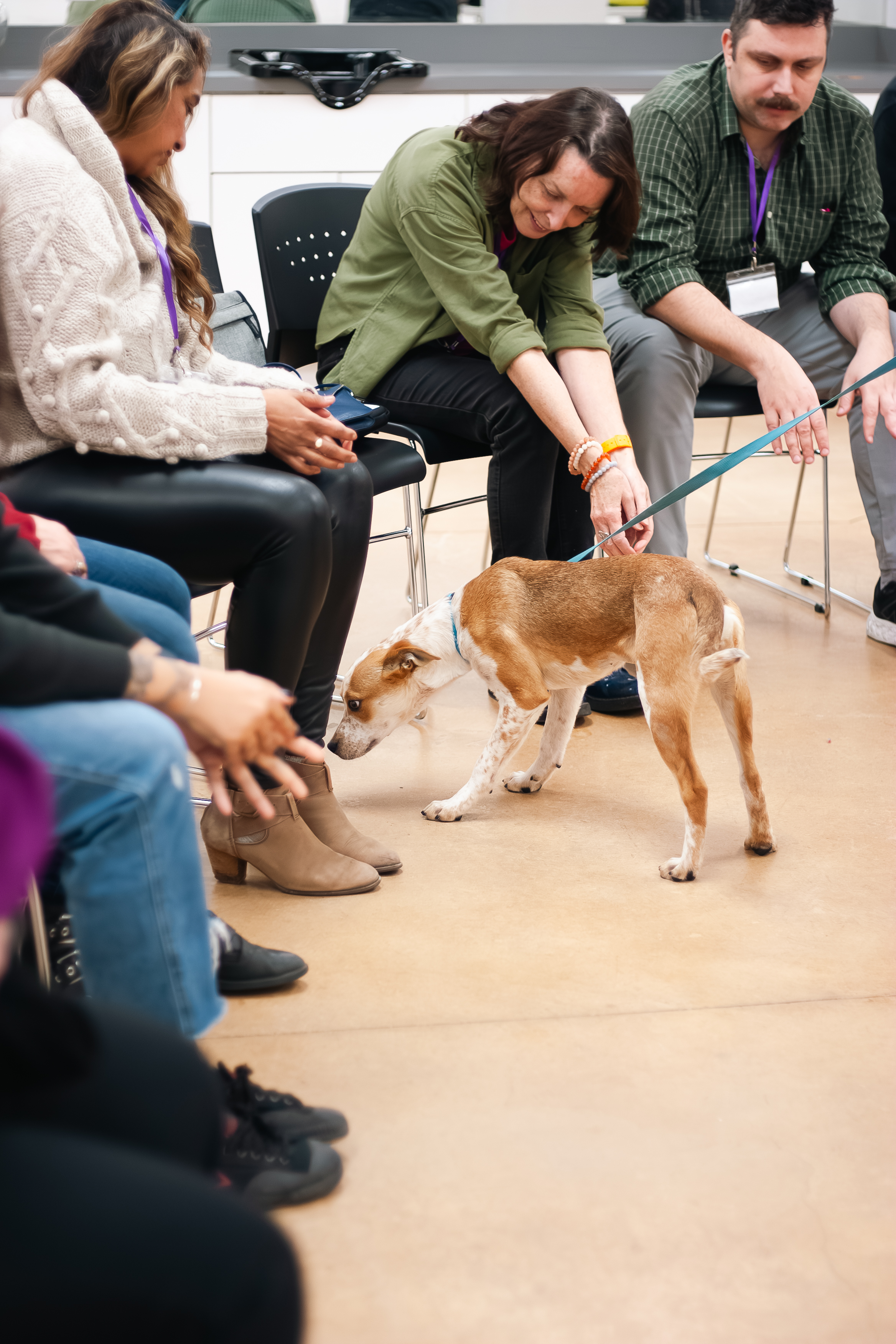 A site image set by the CMS