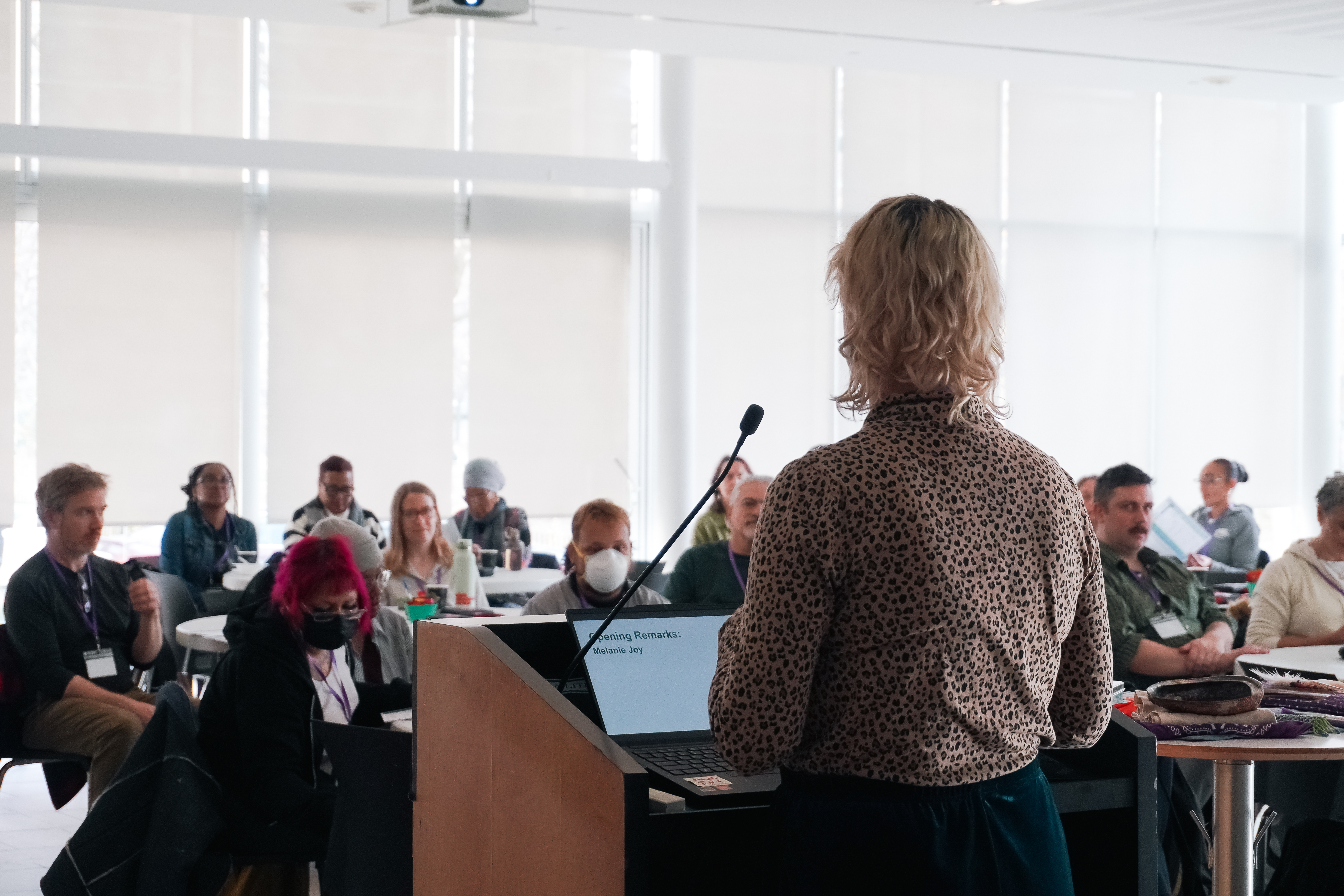 A site image set by the CMS