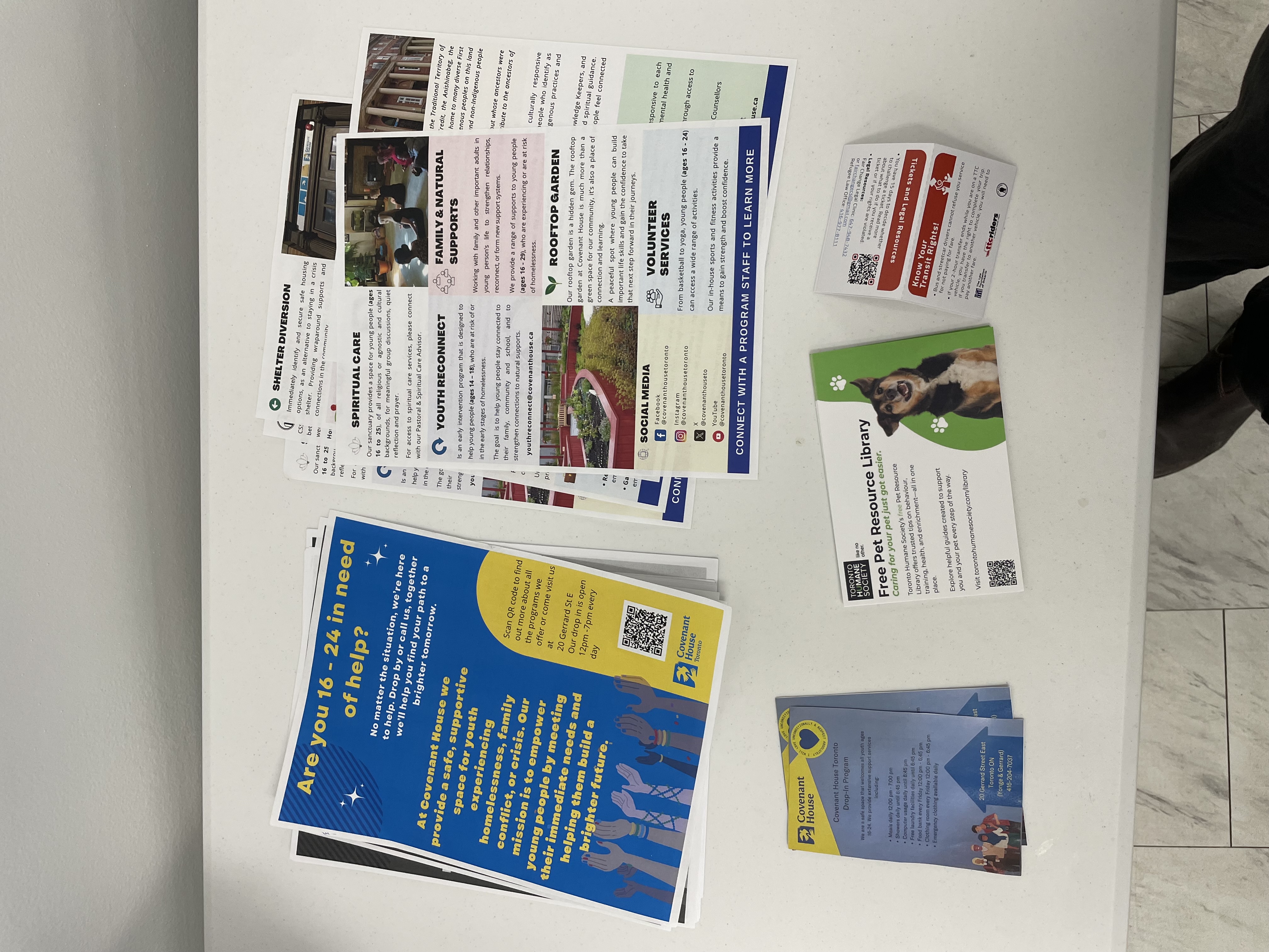 A site image set by the CMS