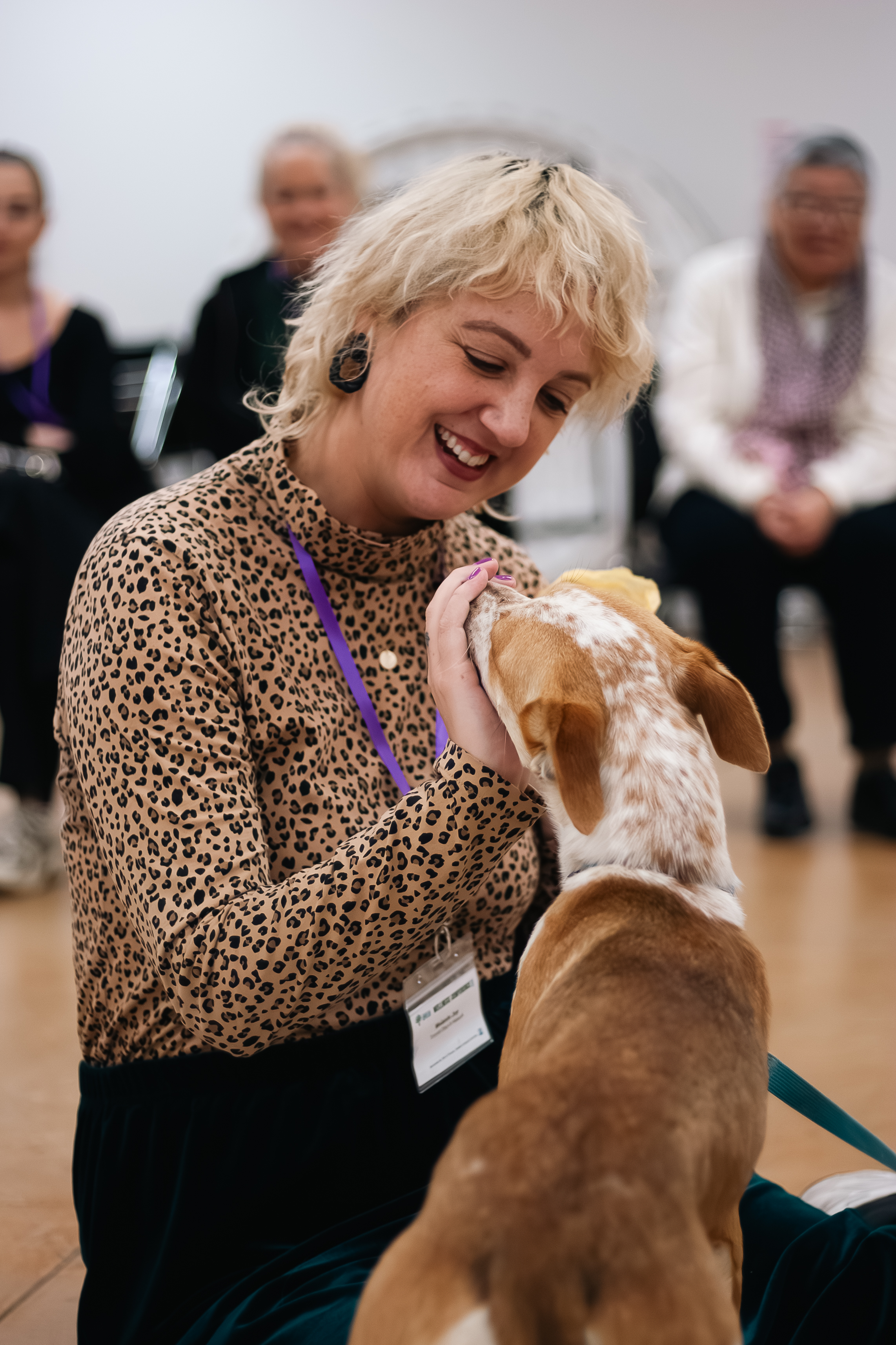 A site image set by the CMS