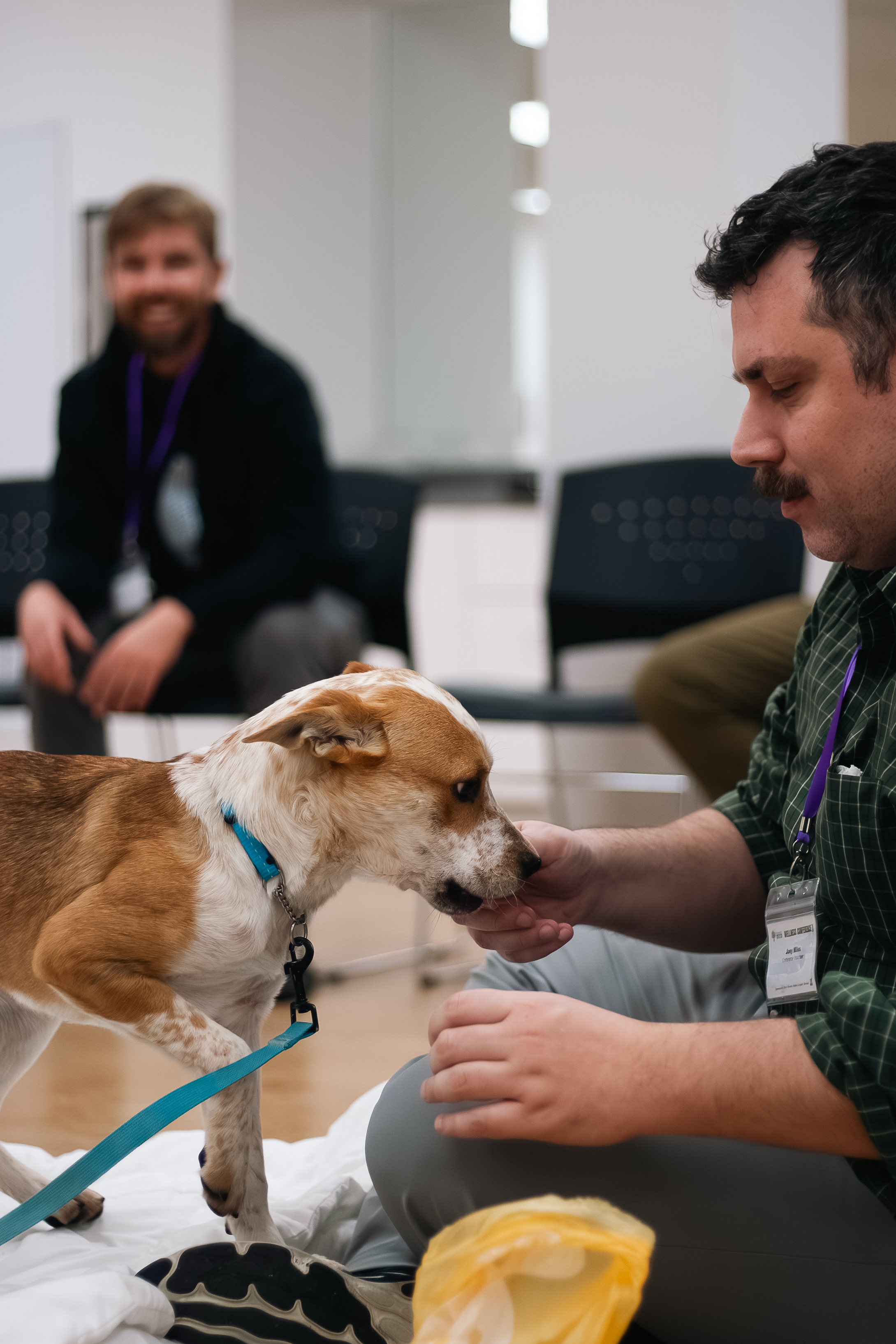 A site image set by the CMS