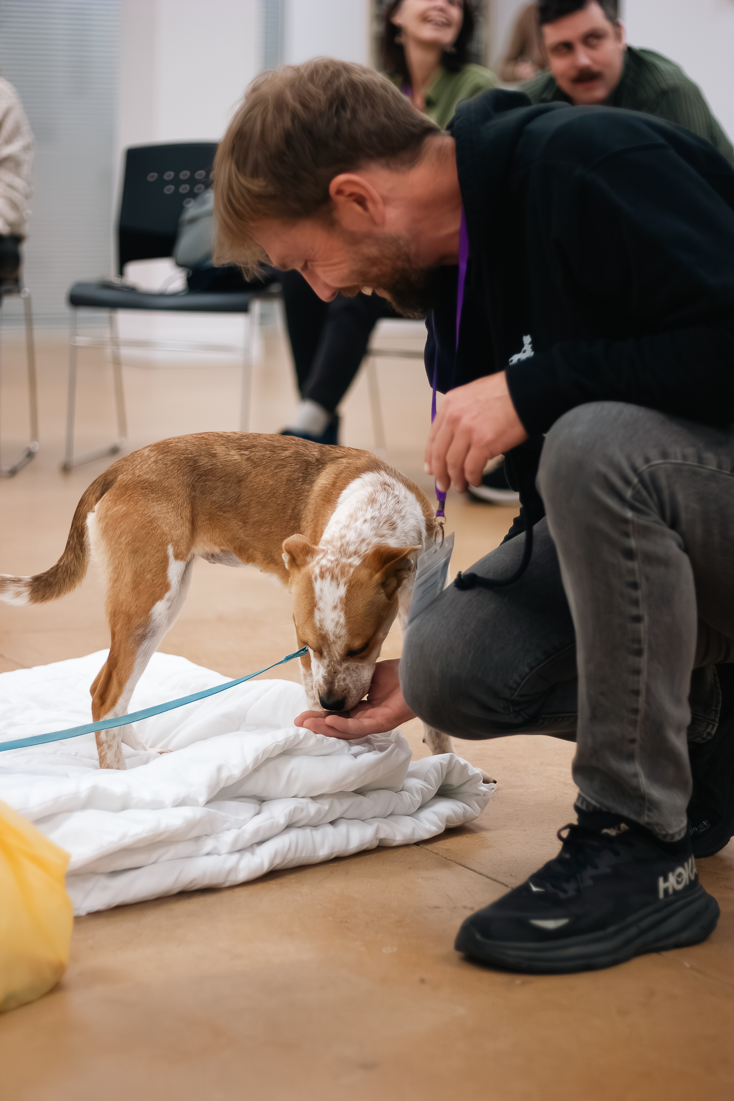 A site image set by the CMS