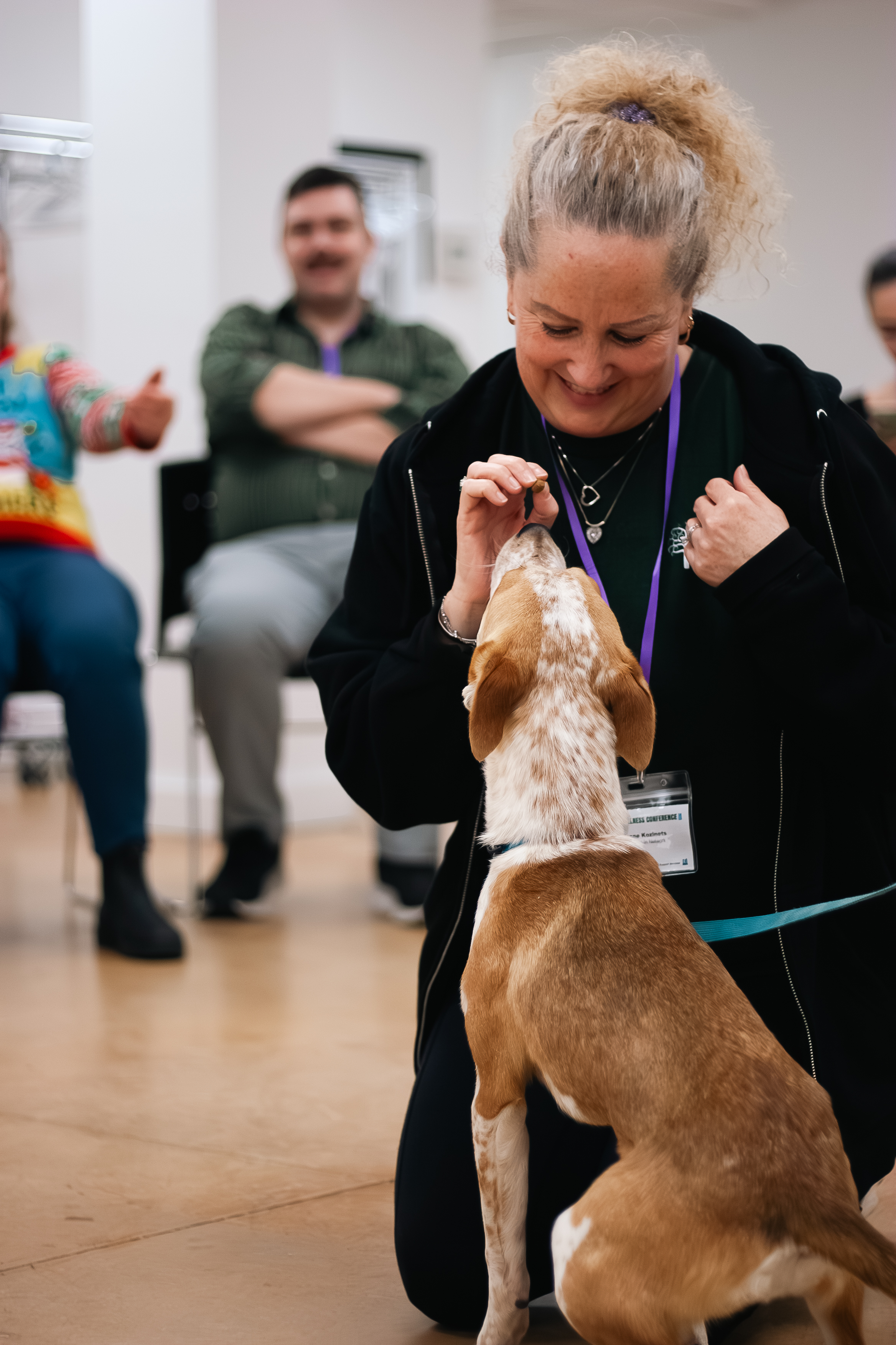 A site image set by the CMS